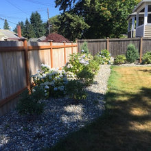 dominique's current yard