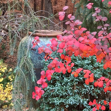 Layers of fall color.