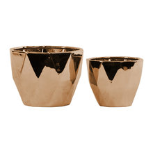 Potted floor plants