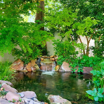 4109 Shady Valley Drive, Arlington, Texas