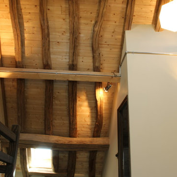 Living in the Attic