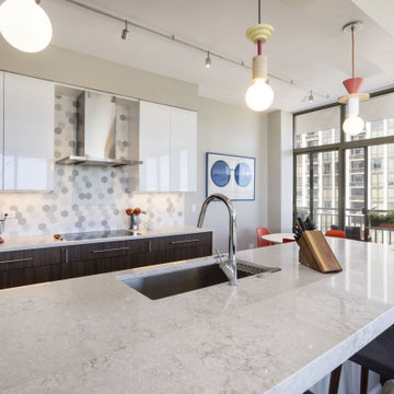 South Loop Highrise Kitchen Renovation