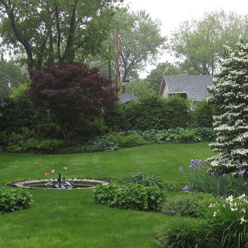 Double-file viburnum and Red Select Japanese maple in background