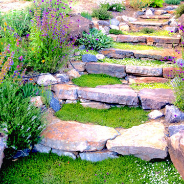 Native Garden Dry Stacked Steps
