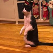 Michelle Villa's photo