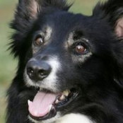 Fran Andrews's photo