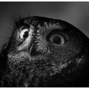 Matt Edwards's photo