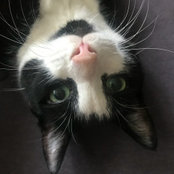 Photo de wticeman