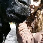 Ya Smells foto
