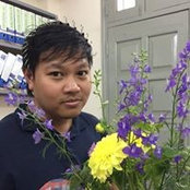 Tran Duc Trung's photo