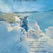 Karen Meyer's photo