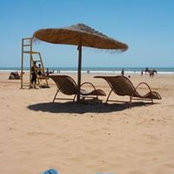 Mohamed Cherif's photo