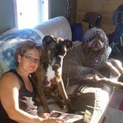 Lori Kreutzer's photo
