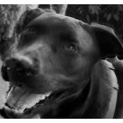 Maria Satchell's photo