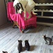 Photo de Stacey Phelps