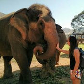 Emily Herd's photo