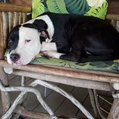 Cynthia Fabacher's photo