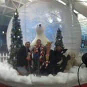 Lisa Brian's photo