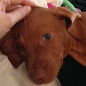 Alex Nemec's photo