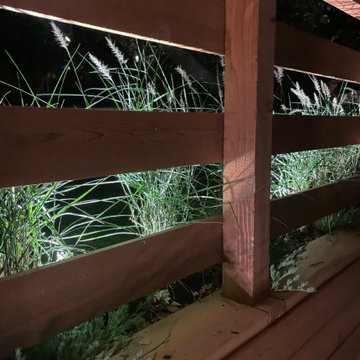 The grass, Pennisetum ‘Eaton Canyon’ and Lotus 'Amazon Sunset' with lighting.
