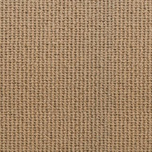 Lakehurst carpet