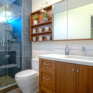 Millbrae Bathroom Renovation