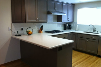 Inspiration for a timeless kitchen remodel in San Francisco