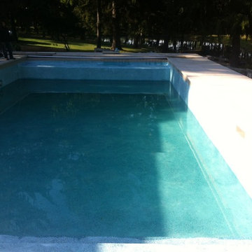 Long Grove, IL Swimming Pool Renovation