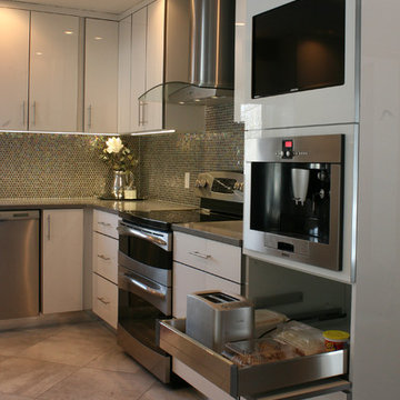Cortland Contemporary Kitchen