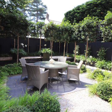 The Minimalist  Garden