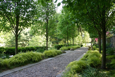 Photo of a mid-sized contemporary backyard shaded formal garden in Philadelphia with gravel and a garden path.
