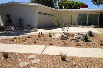 This is an example of a mid-century modern landscaping in Los Angeles.