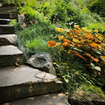Gladwyne Garden II