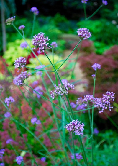 Eclectic Garden by Jay Sifford Garden Design