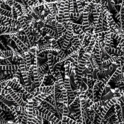 Electic Grey Contemporary & Modern Rug by Linie Design - Rugs