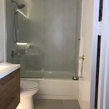 Highrise Condo Remodel Lakeview Chicago