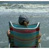 Sharon Weibel's photo