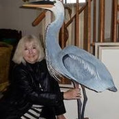 Iona Douglas's photo
