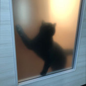 Foto von Mienzi Sch