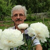 Юрий Лукоянов's photo