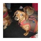 Susan Nielsen's photo