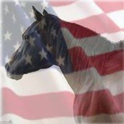 Christine Haley's photo