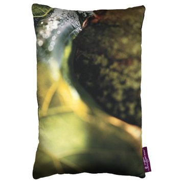 Amazon Designer Pillow, The Skan-9 Collection