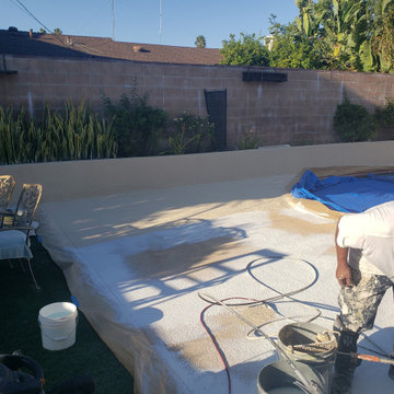 Backyard clean up and remodel
