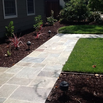 Front Yard Update