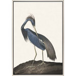 Paragon - Great Heron II Artwork - A regal heron captures traditional style. Canvas is mounted in a warm silver floater frame with satin black side.