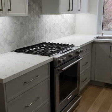 First Floor Gut and Kitchen renovation project