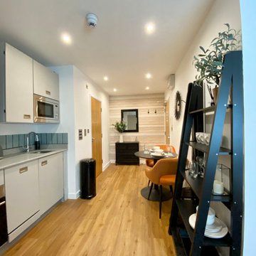 Contemporary Studio Apartment