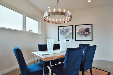 Inspiration for a contemporary dining room remodel in Austin