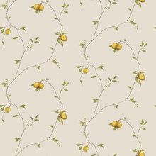 Wall Paper